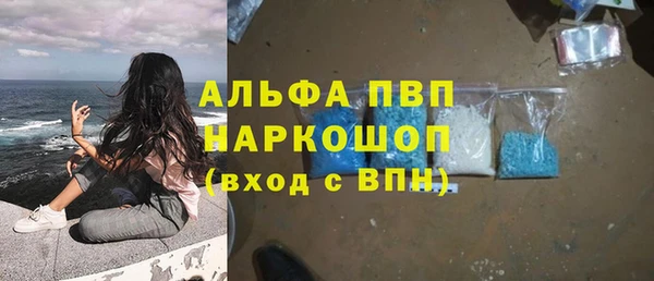 индика Белокуриха