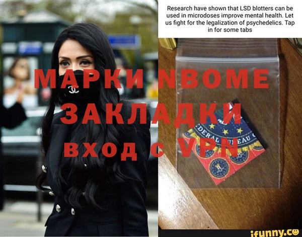 индика Белокуриха