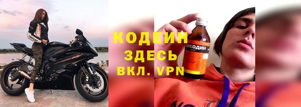 индика Белокуриха
