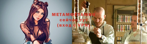 индика Белокуриха
