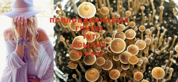 a pvp Белоозёрский
