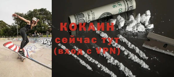 индика Белокуриха