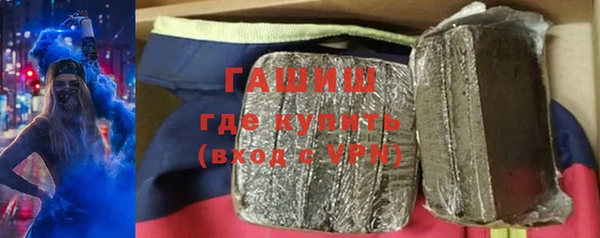 индика Белокуриха