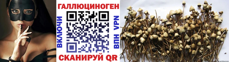 Галлюциногенные грибы GOLDEN TEACHER  Чёрмоз 